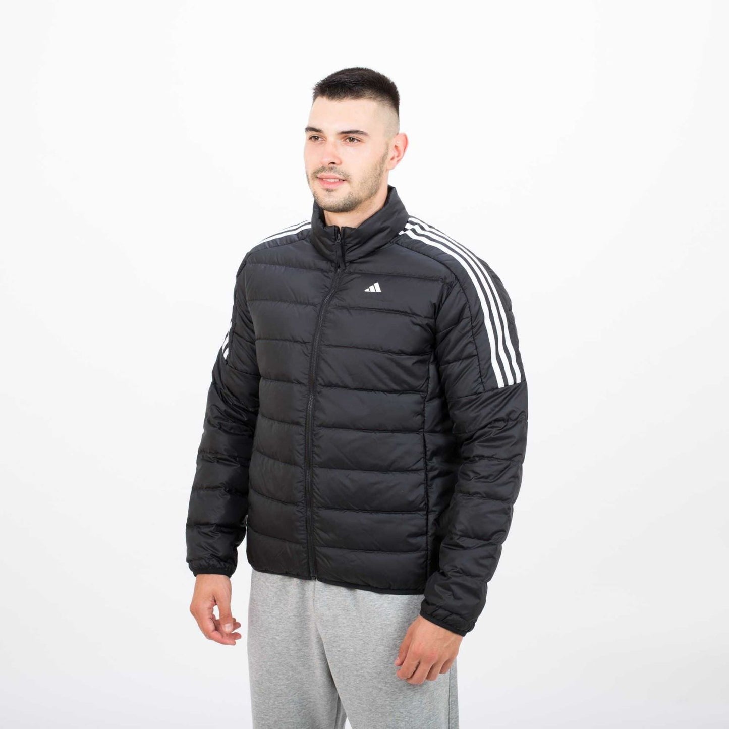 Full Sleeves Puffer Jacket A/D